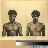 藏品(新喀里多尼亞群島兩名男子正面像)的圖片